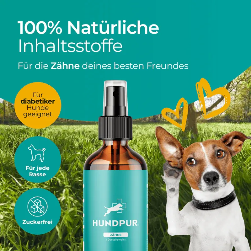 Anwendung von Hundpur Zähne bei Apollo